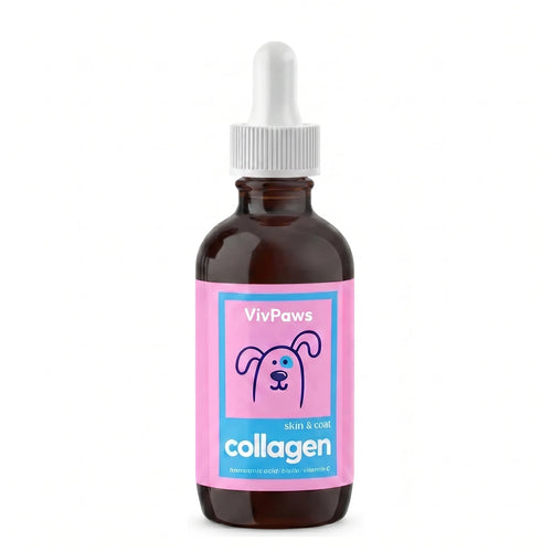 Colágeno Líquido VivPaws — Piel y Pelaje